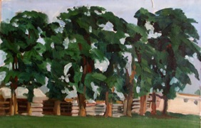 Stand of trees Stand of trees